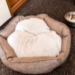 willa-pod-skocznia-1920x1080-606d0bdc71a8f40883be